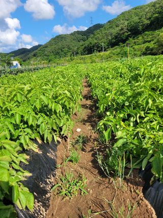 김금자님의 자유주제 · 자유게시판 작성글 사진