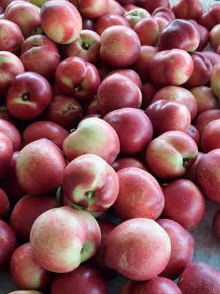 배경수 님의 작성글 사진