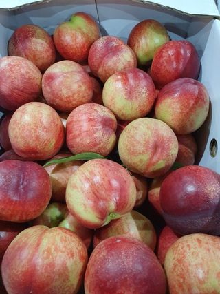 배경수 님의 작성글 사진