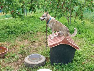 배경수 님의 작성글 사진
