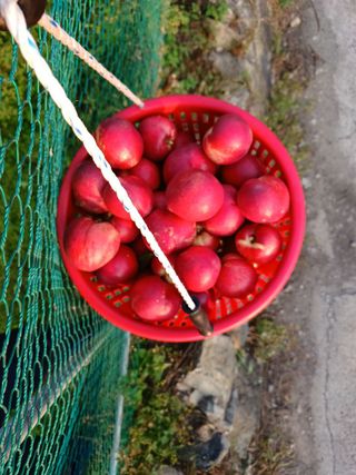 배경수 님의 작성글 사진