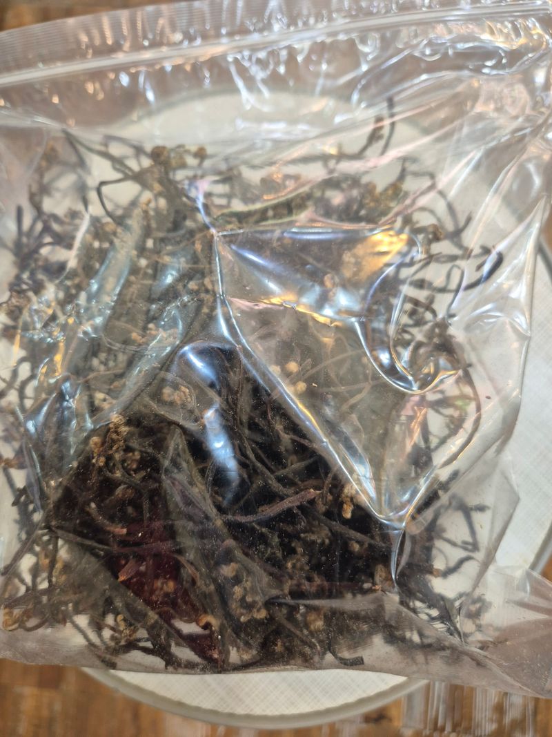 장터 상품 [건고사리120g] 썸네일