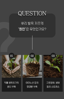 자재스토어님의 장터 판매 상품 [인테이크 프리미엄 뿌리발근제 뿌리 발육 아미노산] 첨부 사진