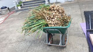 오숙님의 자유주제 · 자유게시판 작성글 사진