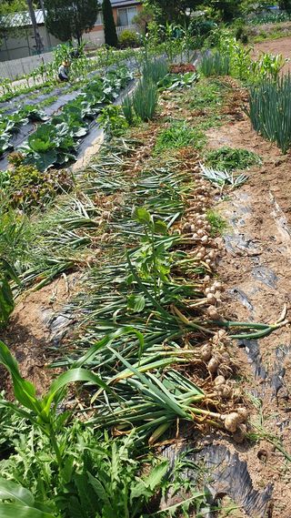 오숙님의 자유주제 · 자유게시판 작성글 사진