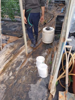 하늘샘(하경수)님의 고추 · 영농일지 작성글 사진