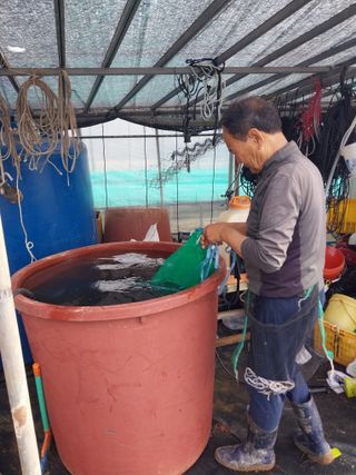 하늘샘(하경수)님의 고추 · 영농일지 작성글 사진