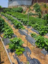 팜모닝 자유주제·사진전 게시글 이미지