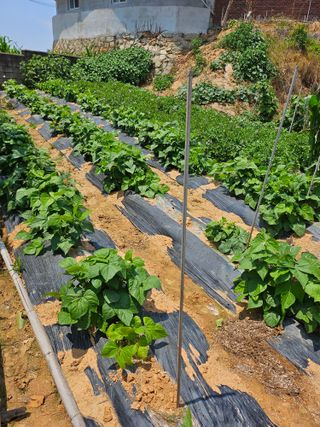 임은주님의 자유주제 · 사진전 작성글 사진