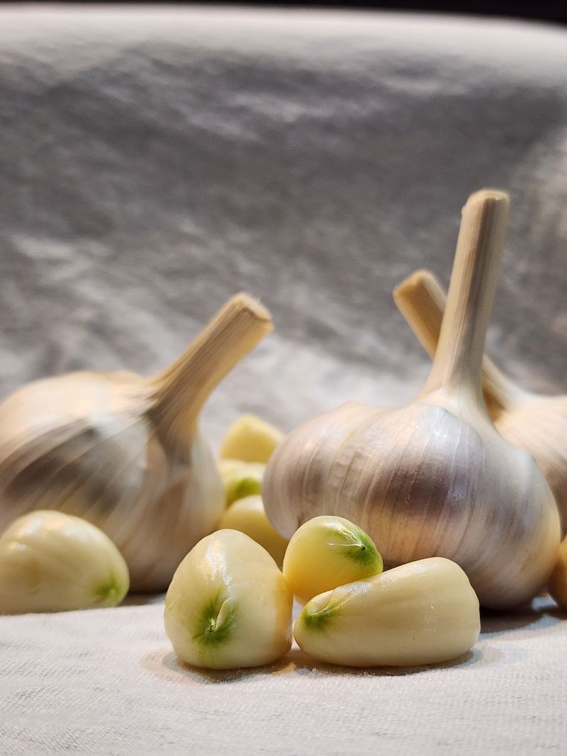 장터 상품 [홍산마늘 반접 소] 썸네일