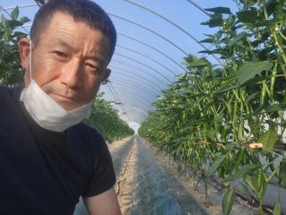 방준석님의 고추 · 영농일지 작성글 사진