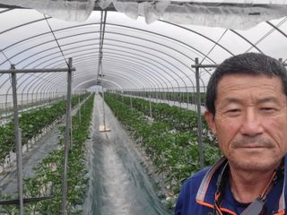 방준석님의 고추 · 영농일지 작성글 사진