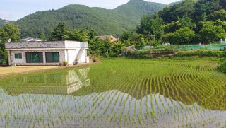 슈퍼맨님의 6월 내 작물 자랑하기🌱 · 참여글 작성글 사진