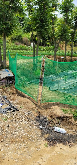 선영~~님의 자유주제 · 자유게시판 작성글 사진