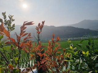 연산나무농장님의 자유주제 · 자유게시판 작성글 사진