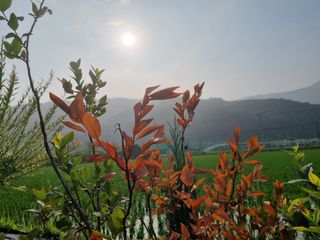 연산나무농장님의 자유주제 · 자유게시판 작성글 사진