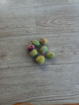 심무재 님의 농사, 무엇이든 물어보세요! · 참여글 작성글 사진