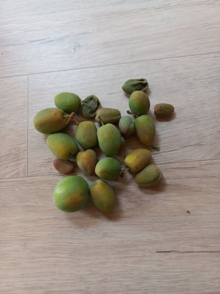 심무재 님의 농사, 무엇이든 물어보세요! · 참여글 작성글 사진