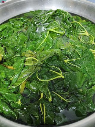 권지연.옥천.님의 자유주제 · 자유게시판 작성글 사진