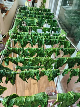 권지연.옥천.님의 자유주제 · 자유게시판 작성글 사진