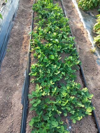 심무재 님의 자유주제 · 자유게시판 작성글 사진