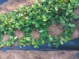 심무재 님의 자유주제 · 자유게시판 작성글 사진