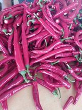 팜모닝 자유주제·자유게시판 게시글 이미지