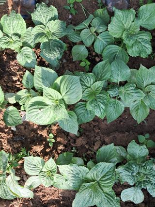 최한기님의 자유주제 · 칭찬해요 작성글 사진