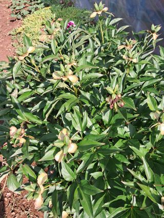 최한기님의 자유주제 · 칭찬해요 작성글 사진