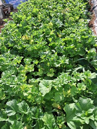 최한기님의 자유주제 · 칭찬해요 작성글 사진