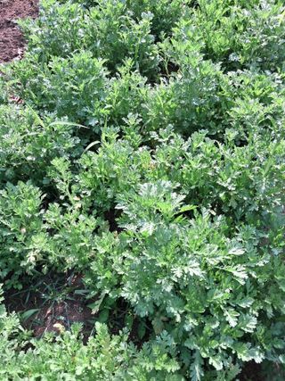 최한기님의 자유주제 · 칭찬해요 작성글 사진