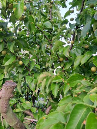 최한기님의 자유주제 · 칭찬해요 작성글 사진