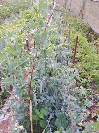 최한기님의 자유주제 · 칭찬해요 작성글 사진
