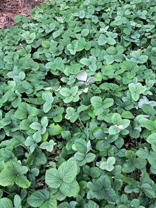 최한기님의 자유주제 · 칭찬해요 작성글 사진