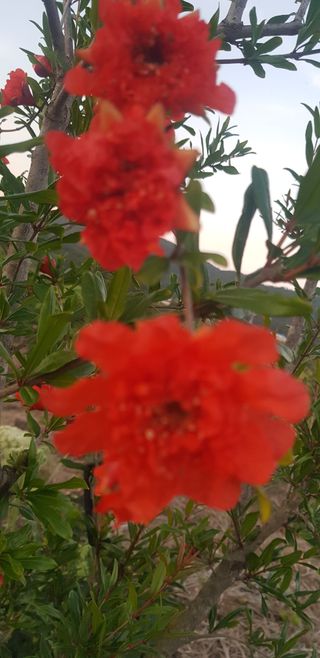 정주님의 6월 내 작물 자랑하기🌱 · 참여글 작성글 사진