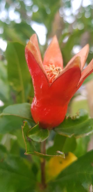 정주님의 6월 내 작물 자랑하기🌱 · 참여글 작성글 사진