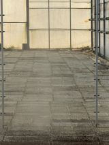 팜모닝 자유주제·자유게시판 게시글 이미지