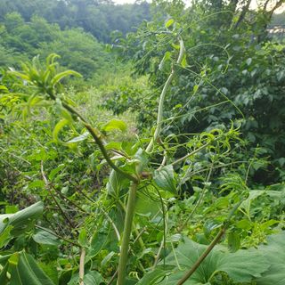 인생은 소풍처럼님의 자유주제 · 자유게시판 작성글 사진