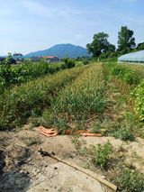 팜모닝 🎤어떤 노래 좋아하세요?·참여글 게시글 이미지