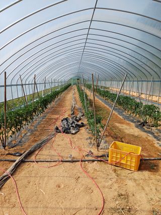 해아래님의 🎤어떤 노래 좋아하세요? · 참여글 작성글 사진