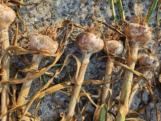 김석중님의 자유주제 · 칭찬해요 작성글 사진