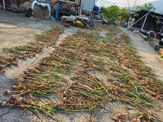 김석중님의 자유주제 · 칭찬해요 작성글 사진
