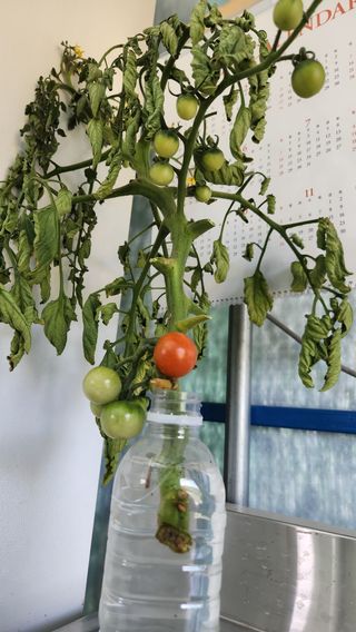 이상보님의 농사, 무엇이든 물어보세요! · 참여글 작성글 사진