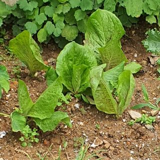 정경숙님의 자유주제 · 사진전 작성글 사진