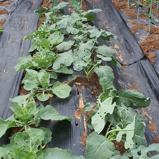 정경숙님의 자유주제 · 사진전 작성글 사진