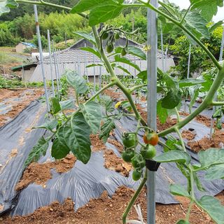 정경숙님의 자유주제 · 사진전 작성글 사진