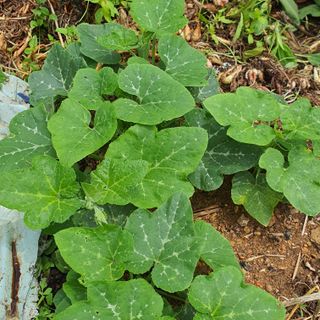 정경숙님의 자유주제 · 사진전 작성글 사진