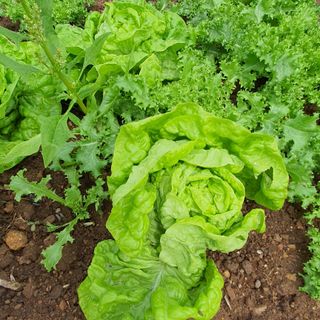 정경숙님의 자유주제 · 사진전 작성글 사진