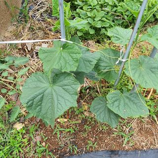 정경숙님의 자유주제 · 사진전 작성글 사진