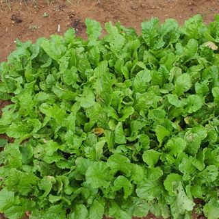 정경숙님의 자유주제 · 사진전 작성글 사진